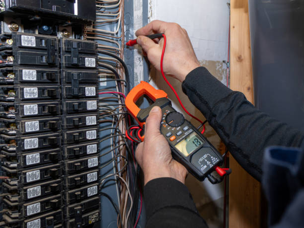 Best Home Electrical Repair  in St Michael, MN